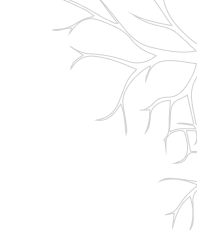 This is a graphic illustration featuring a stylized, light gray tree branch pattern against a solid light gray background.