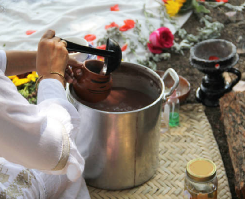 Best ayahuasca retreat in the USA healing center Pachamama Sanctuary