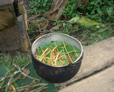 Spiritual connection and self awareness with ayahuasca Pachamama Sanctuary