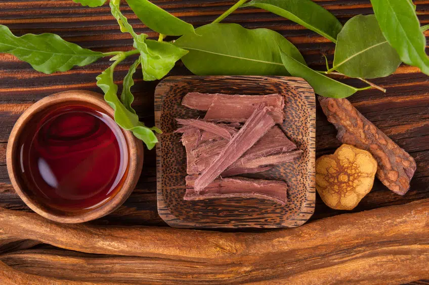 The Magic of Ayahuasca